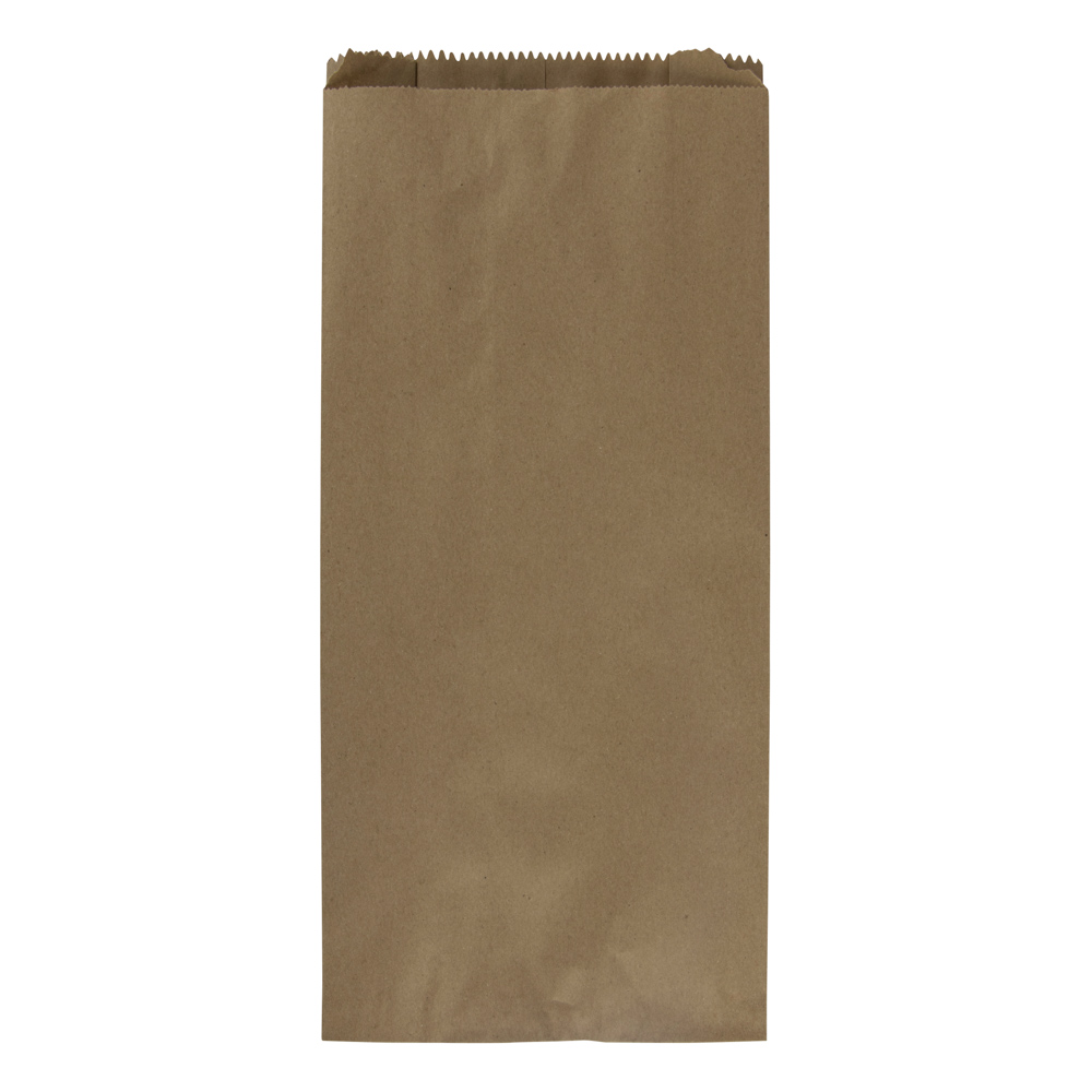 BOLSA DE PAPEL KRAFT 10 LIBRAS BX100