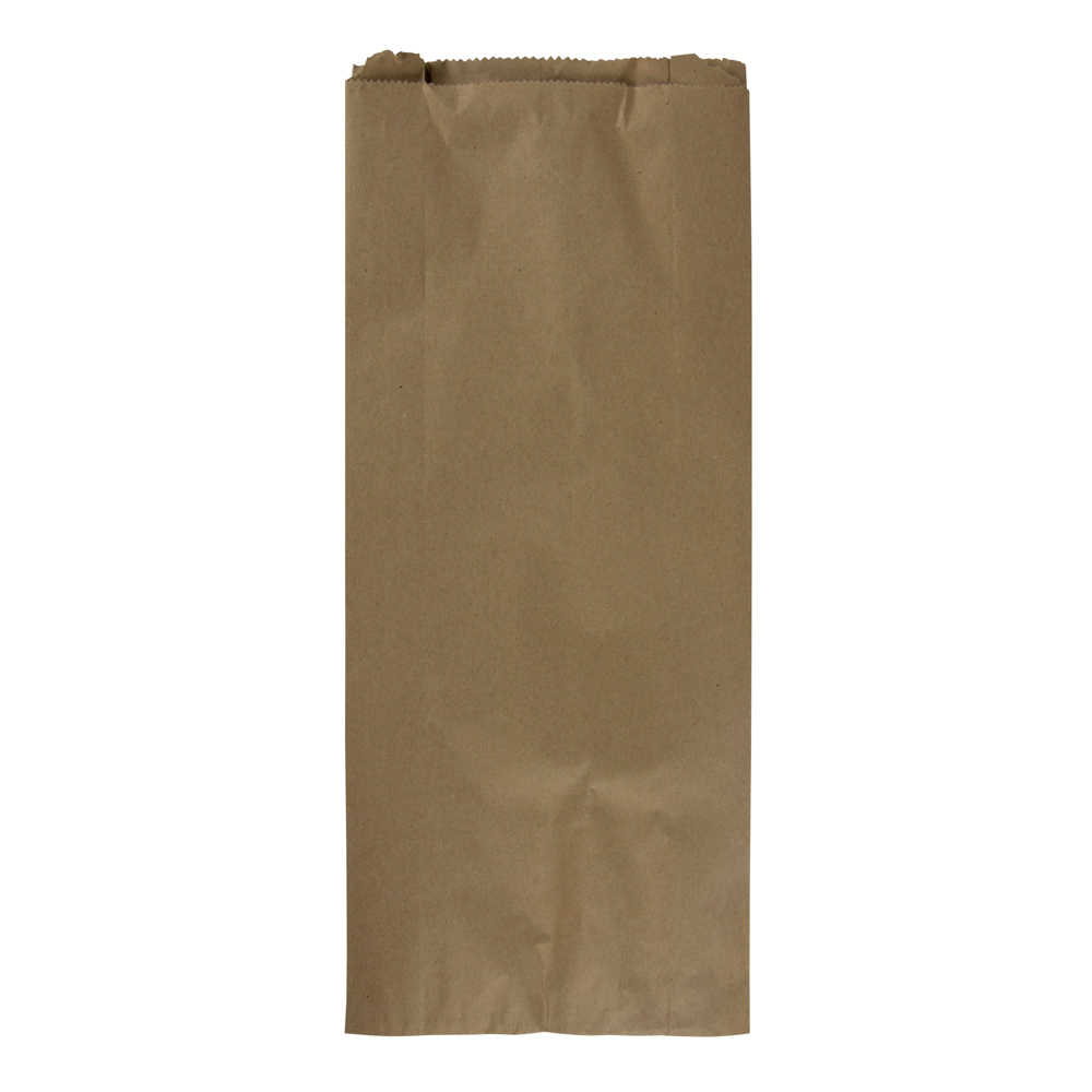 BOLSA DE PAPEL KRAFT 15LB. BX100 (5)