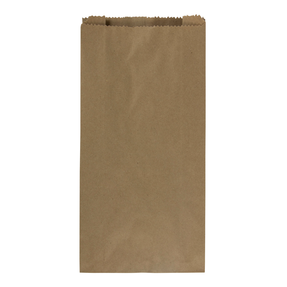 BOLSA DE PAPEL KRAFT 5LB. BX100 (5)