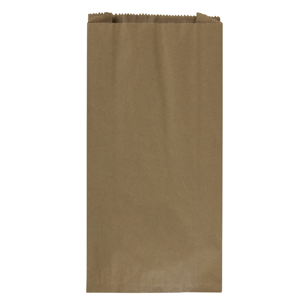 BOLSA DE PAPEL KRAFT 8LB. BX100 (5)