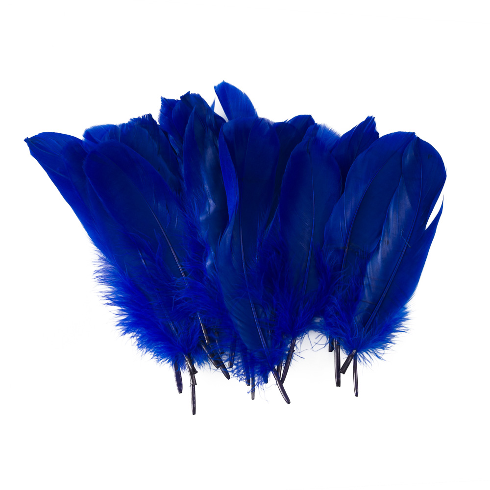 PLUMAS FAST GRANDES BOLSA CON 24U. AZUL