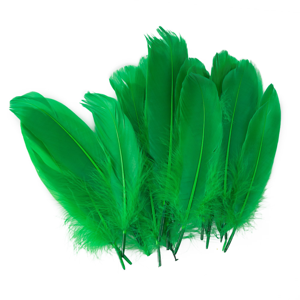 PLUMAS FAST GRANDES BOLSA CON 24U. VERDE