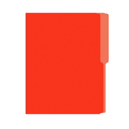 [01242-NARANJA] FOLDER FLASHFILE CARTA NARANJA